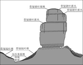 erL229.TIF