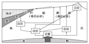 www.xiangpi.com